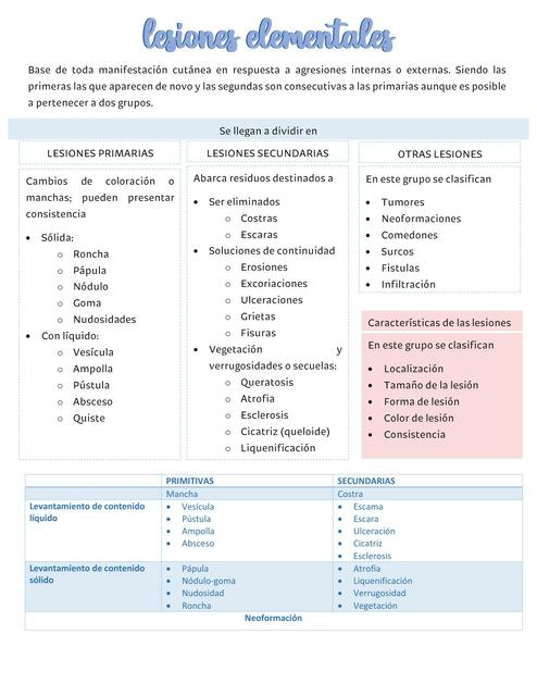 Lesiones Elementales