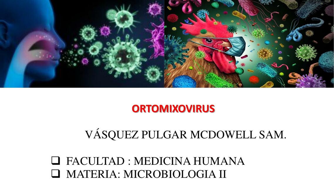 Ortomixovirus 