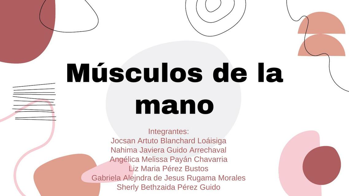 Músculos de la mano