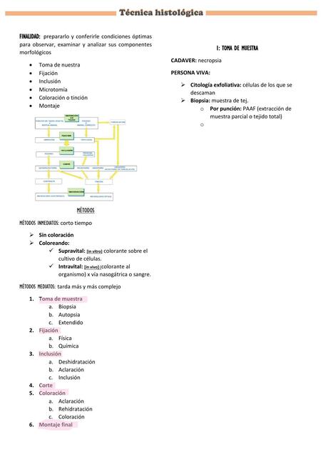 Técnica Histológica