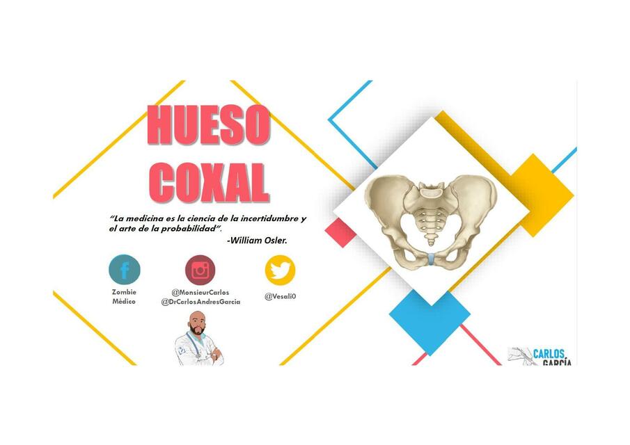 Hueso coxal