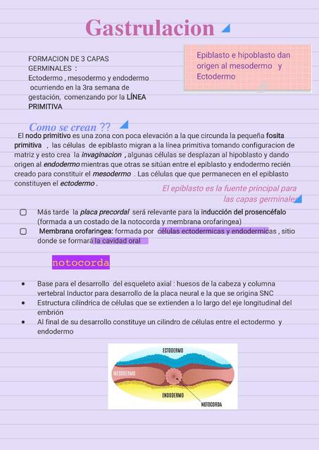 Proceso  del Sistema Nervioso