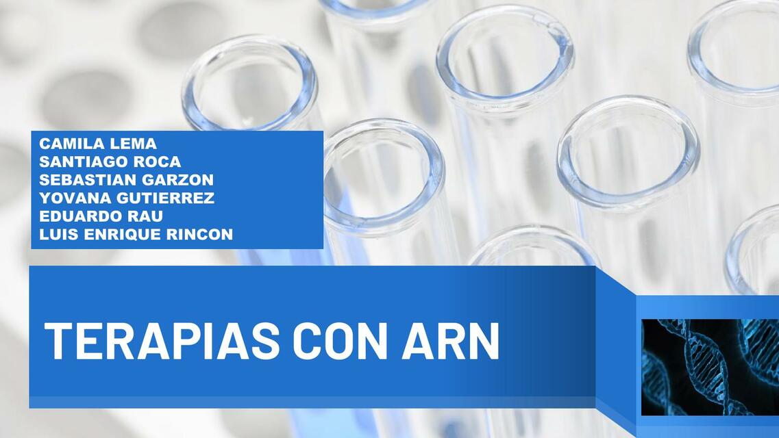 Terapias con ARN