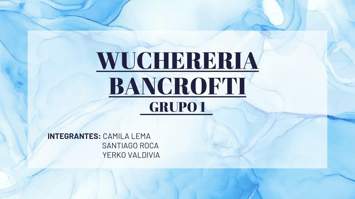 Wuchereria Bancrofti