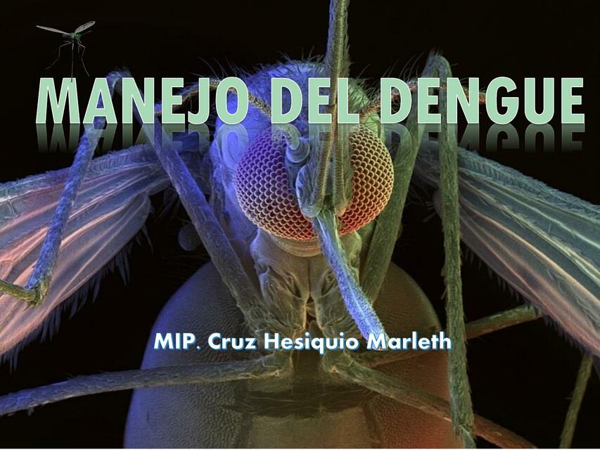 Manejo del dengue