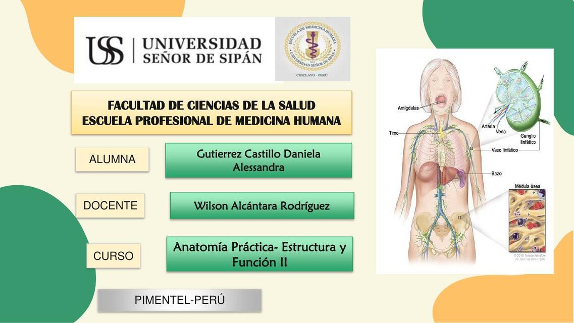 Sintema Linfatico y Bazo