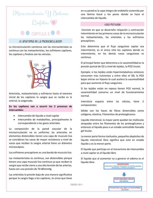 Microcirculación Y Sistema Linfático