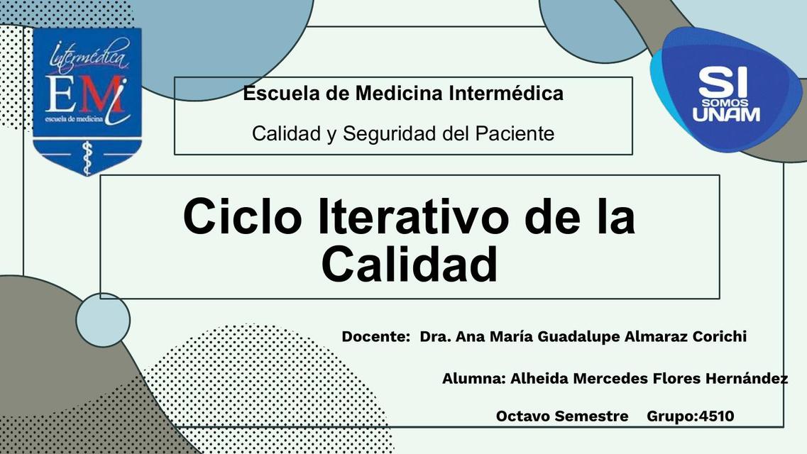 Ciclo Iterativo de la Calidad