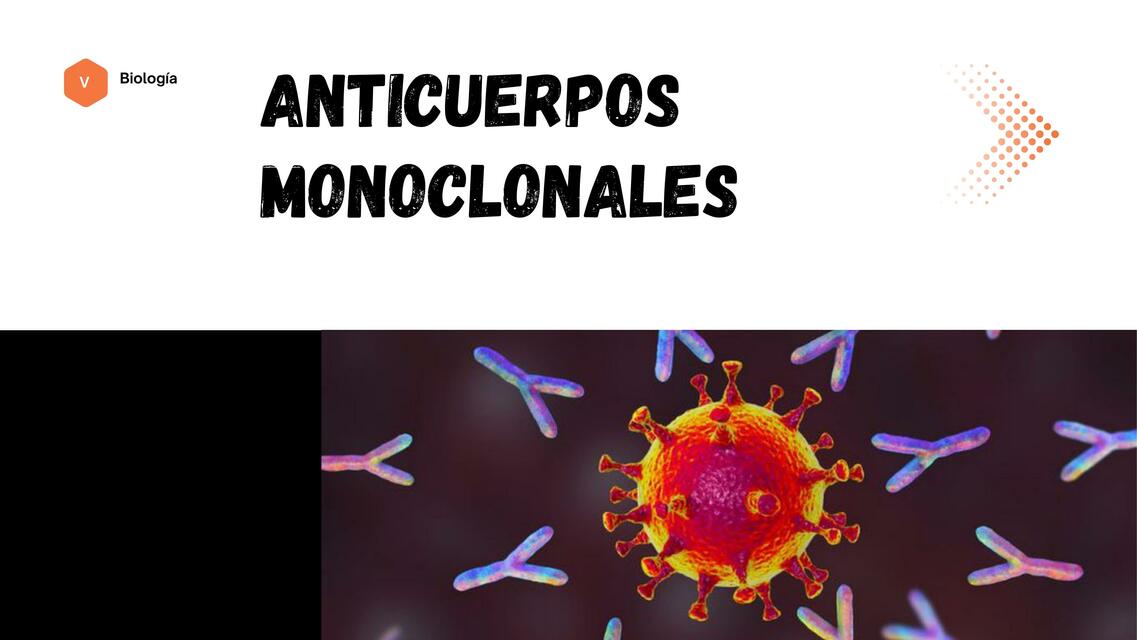 Anticuerpos Monoclonales