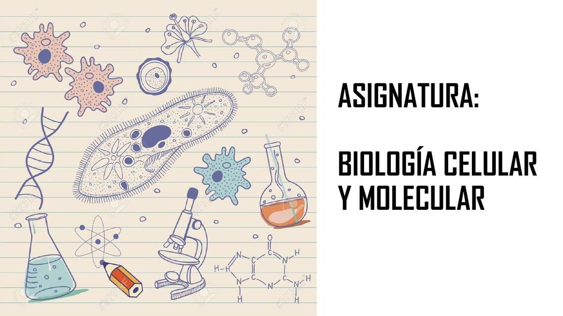  Células y Moléculas