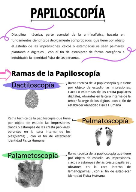 Papiloscopia