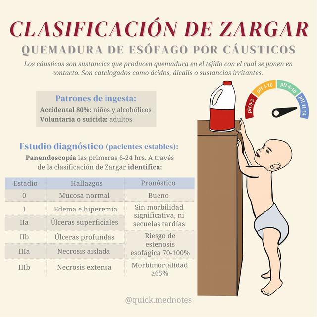 Clasificación de Zargar 