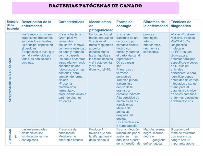 Bacterias Patógenas de Ganado 