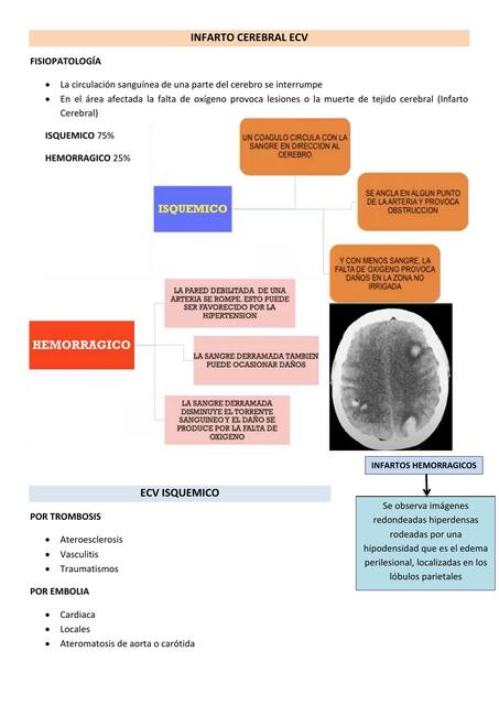 Imagenología 