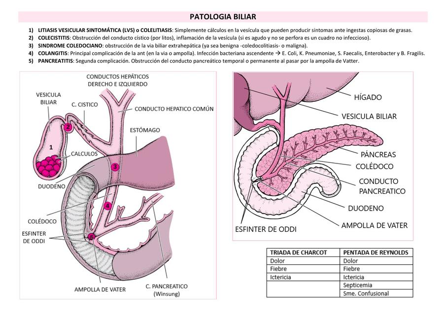 PATOLOGIA BILIAR GENERALIDADES