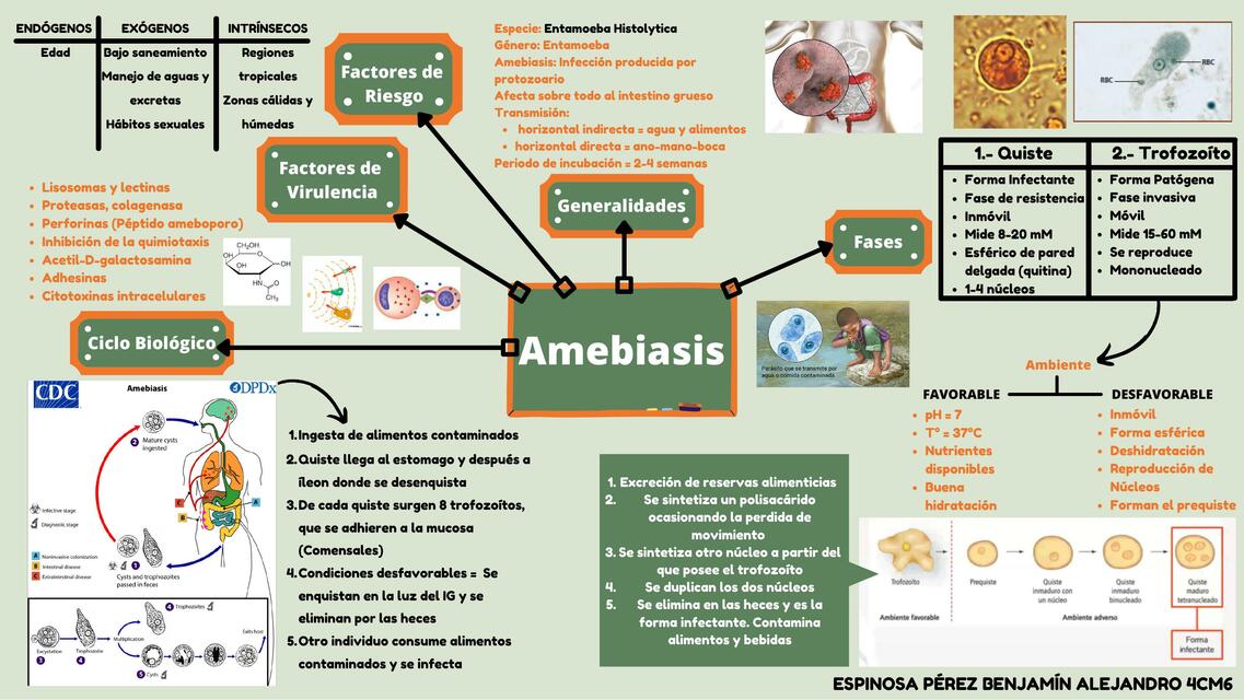 Amebiasis por Entamoeba Histolytica