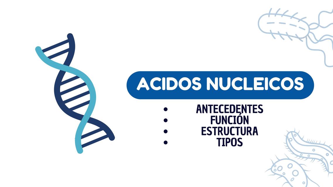 Ácidos Nucleicos