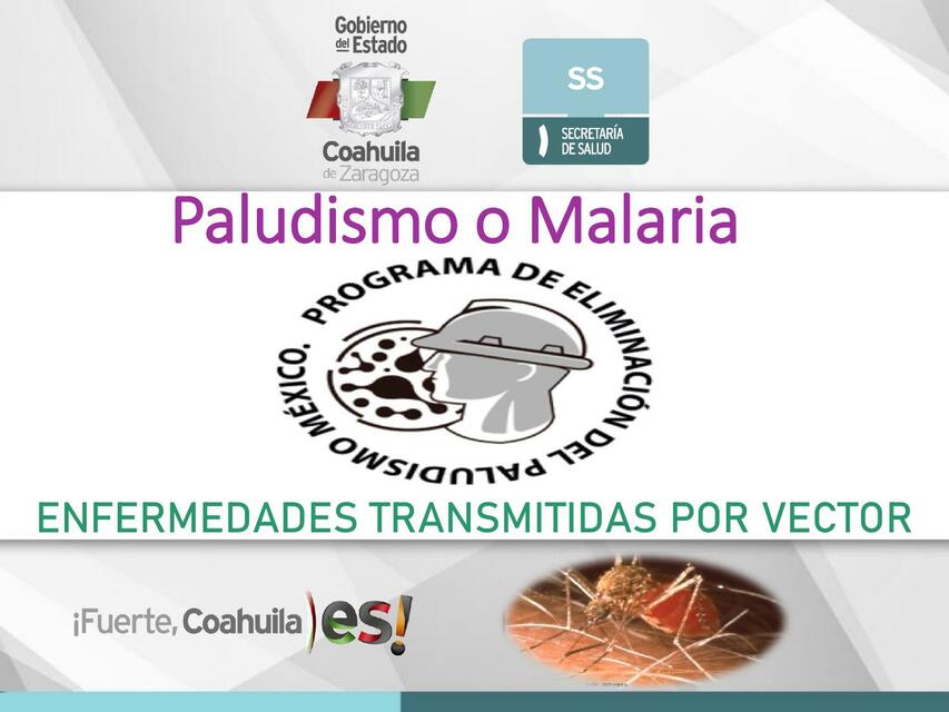 Paludismo o Malaria