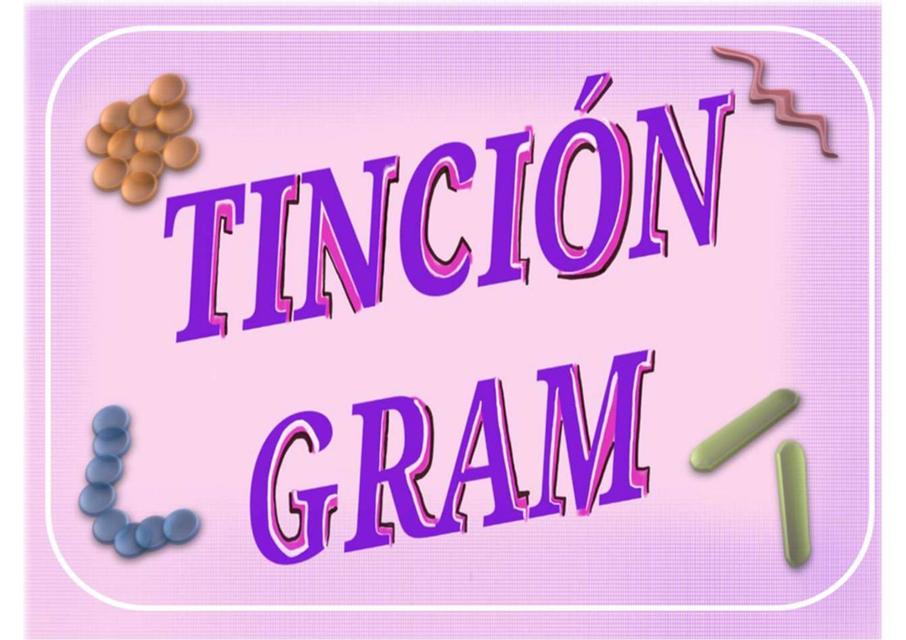 Tinción Gram