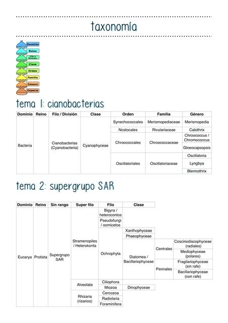 Taxonomía