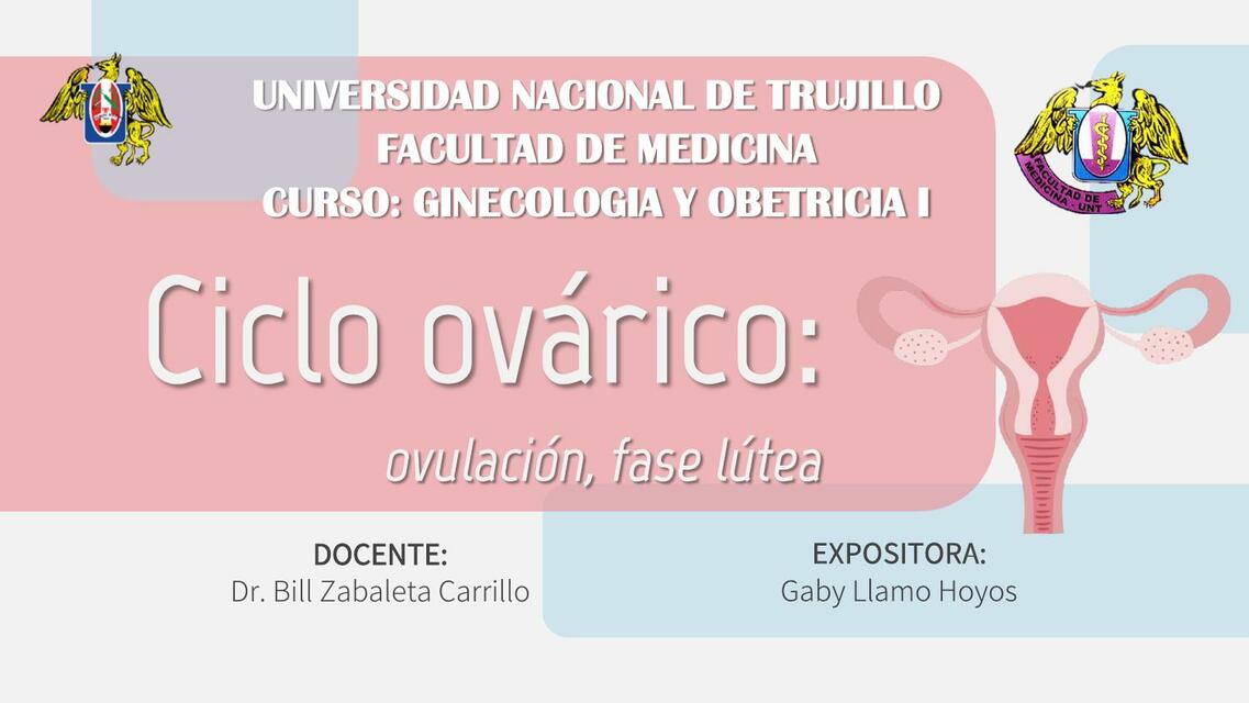 Ciclo Ovárico: Ovulación, Fase Lútea 