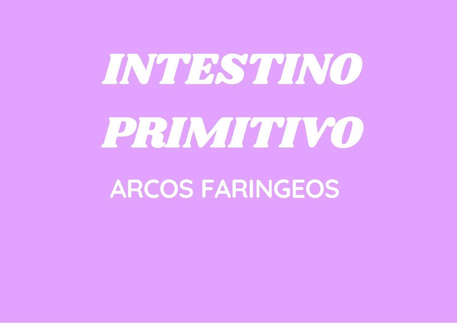 INTESTINO PRIMITIVO- ARCOS FARINGEOS CUESTIONARIO