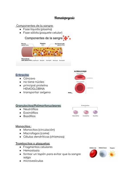 Hematopoyesis 