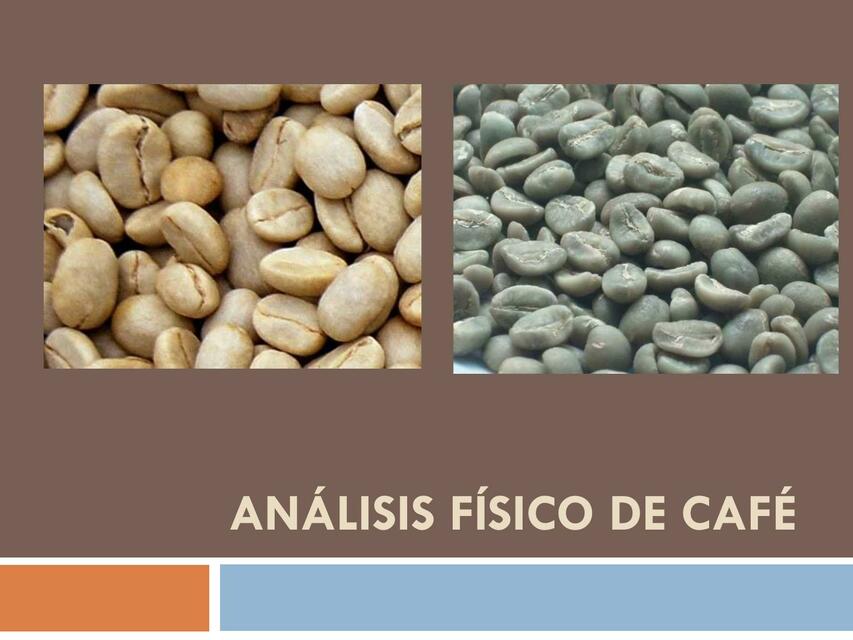 Análisis Físico del Café