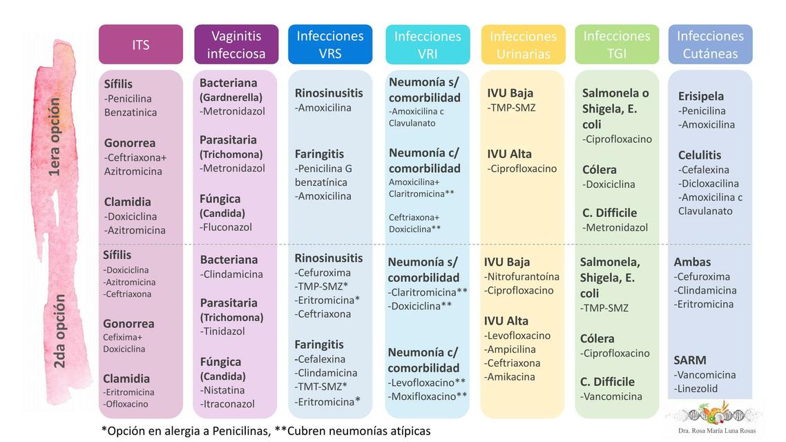 Antibióticos farmacología