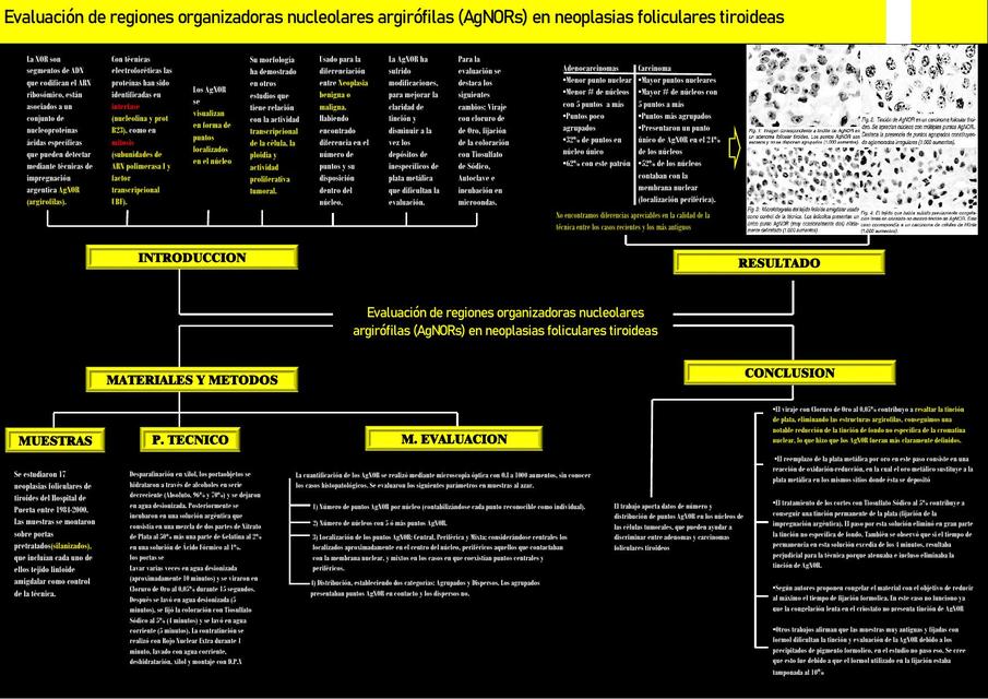 INMUNOHISTOQUIMICA