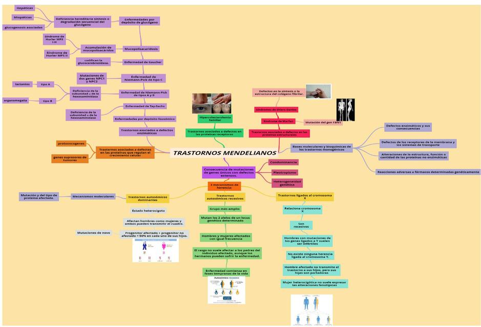Trastornos Mendelianos