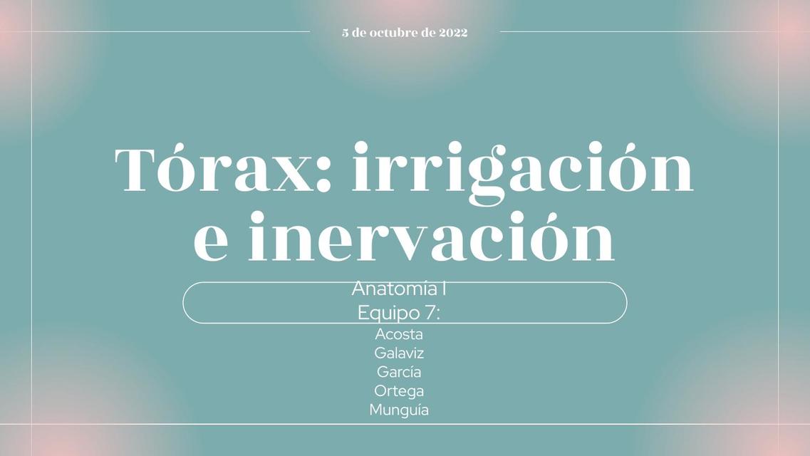 Tórax irrigación e inervación