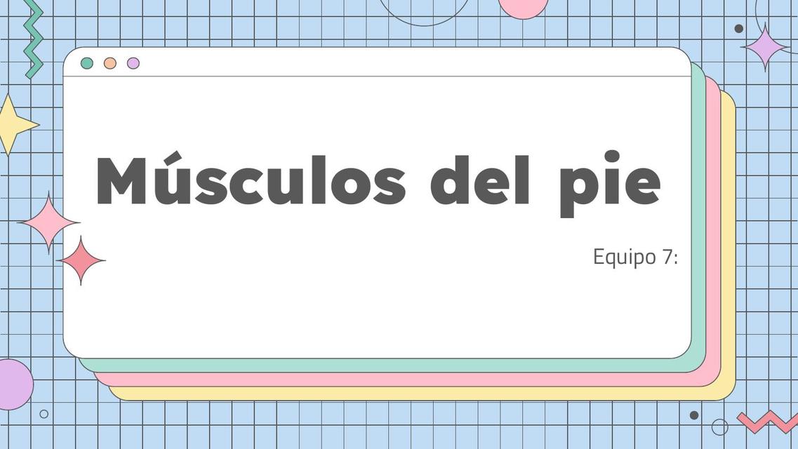 Músculos del pie