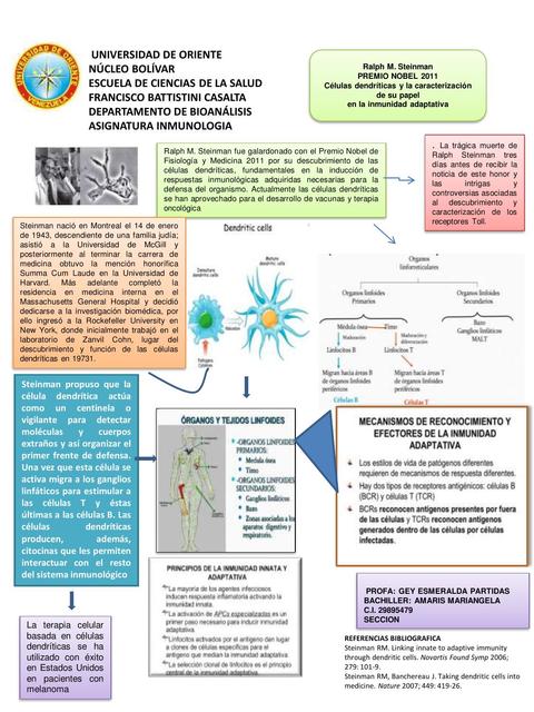 INFOGRAFIA INMUNOLOGIA