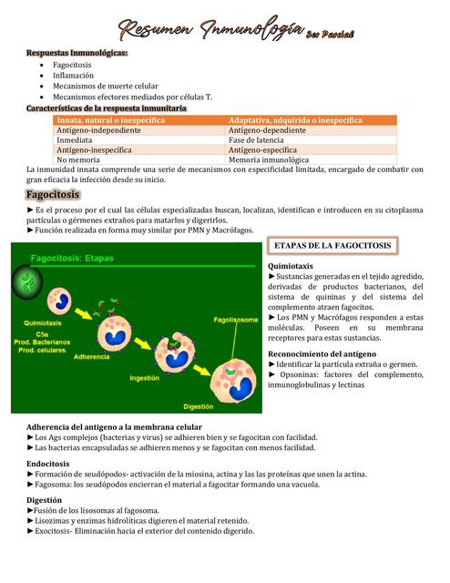 INMUNOLIGIA FAGOCITOSIS