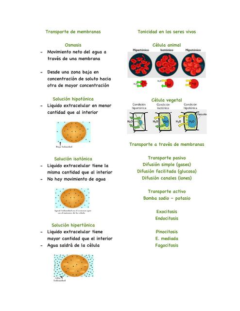Transportes de Membrana