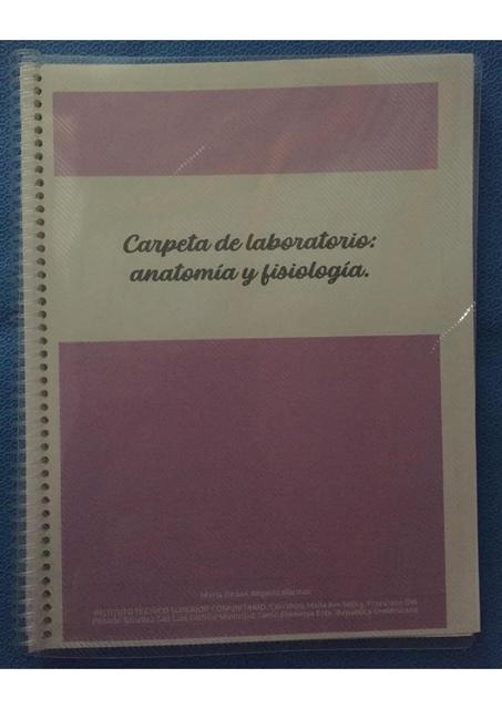 Carpeta de laboratorio -  Fisiología y Anatomía 1