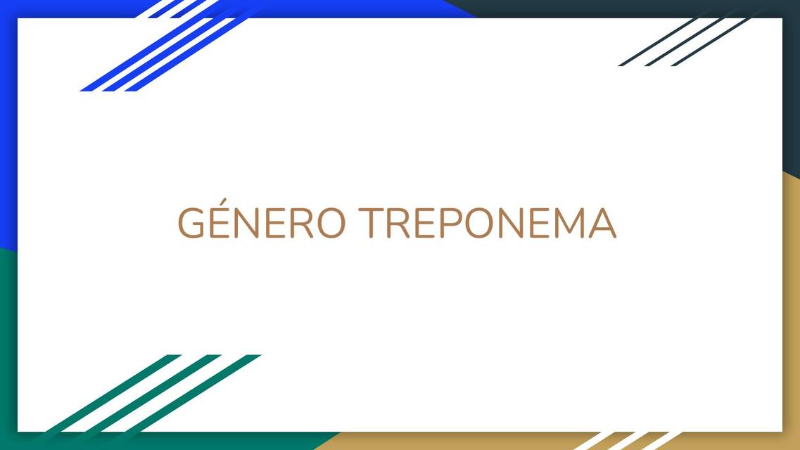 Género Treponema