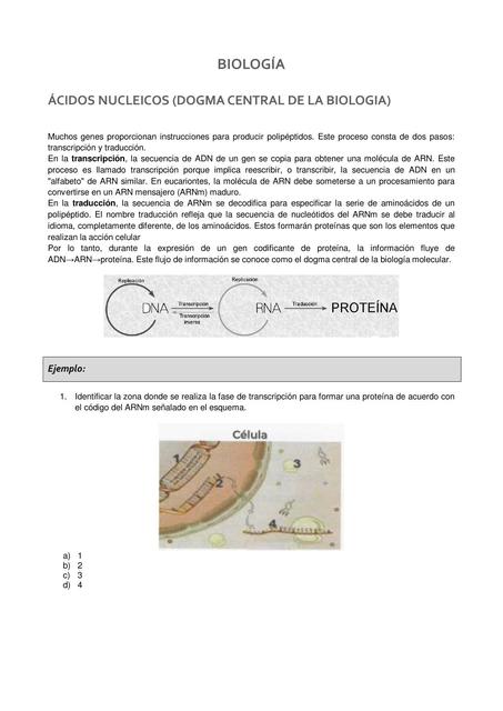 ANEXO BIOLOGÍA IPN