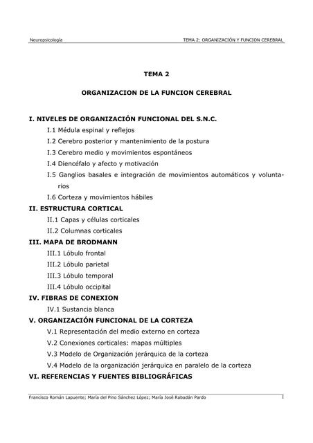 Organizacion y función cerebral