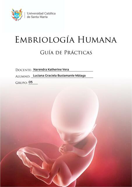 Embriología Humana- Guía de Prácticas 