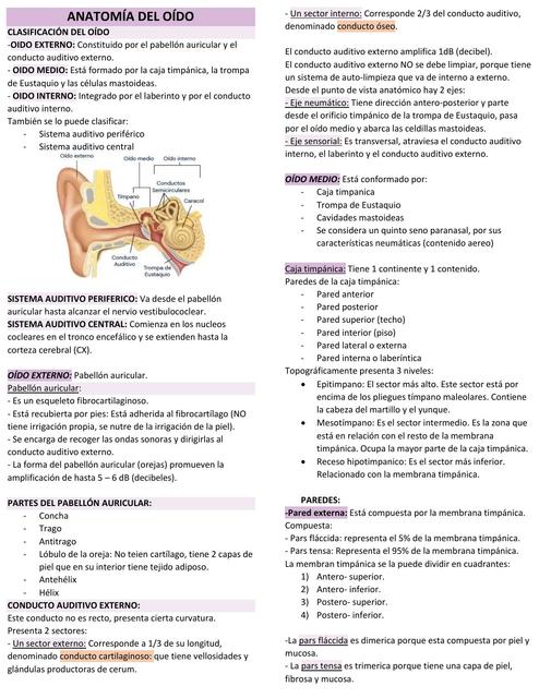 Anatomía del oído y fisiología de la audición