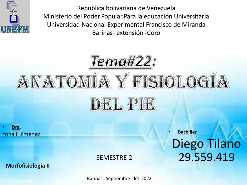 Anatomía y Fisiología del Pie 