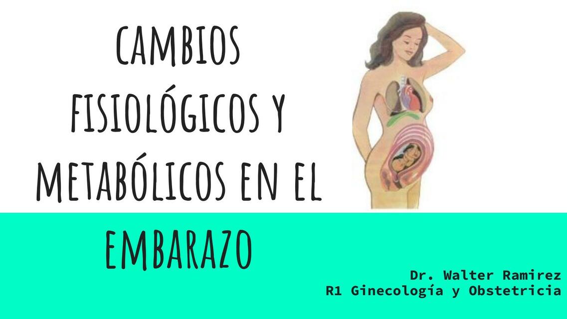 Cambios Fisiológicos y Metabólicos en el Embarazo 