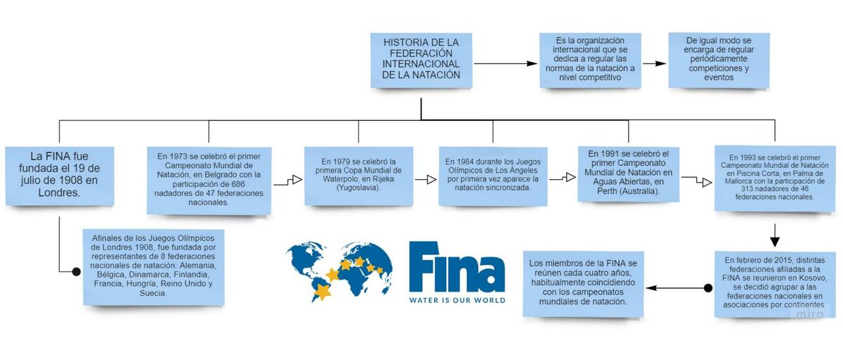 Natación- Reglamentación