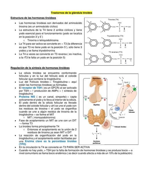 Trastornos de la Glándula Tiroides