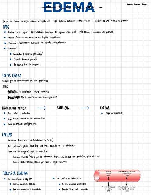 Fisiopatología de edema