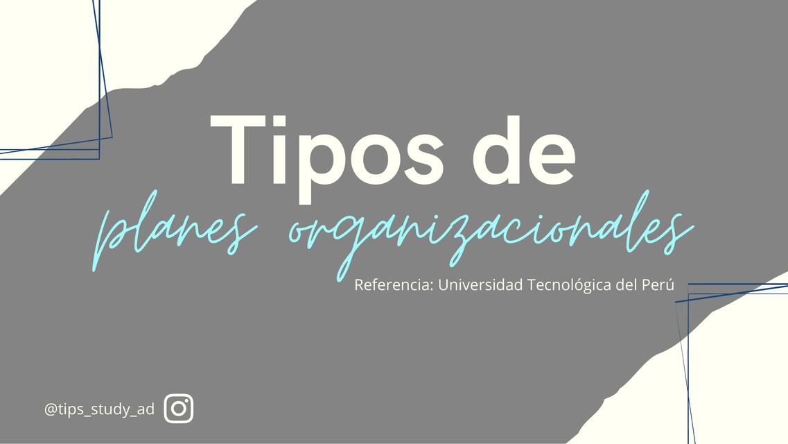 Tipos de planes organizacionales Administración