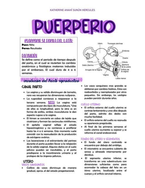 Puerperio 