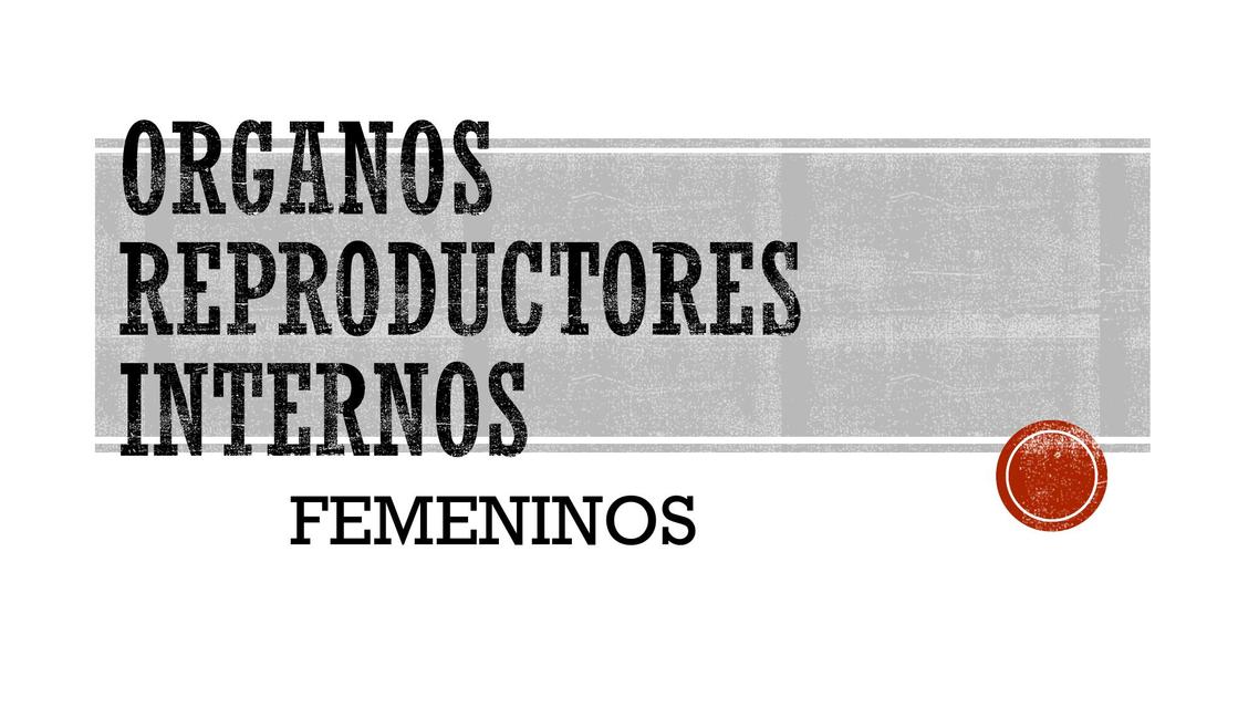 ORGANOS REPRODUCTORES INTERNOS